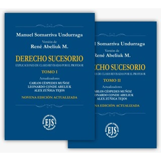 DERECHO SUCESORIO (9ª Edición)