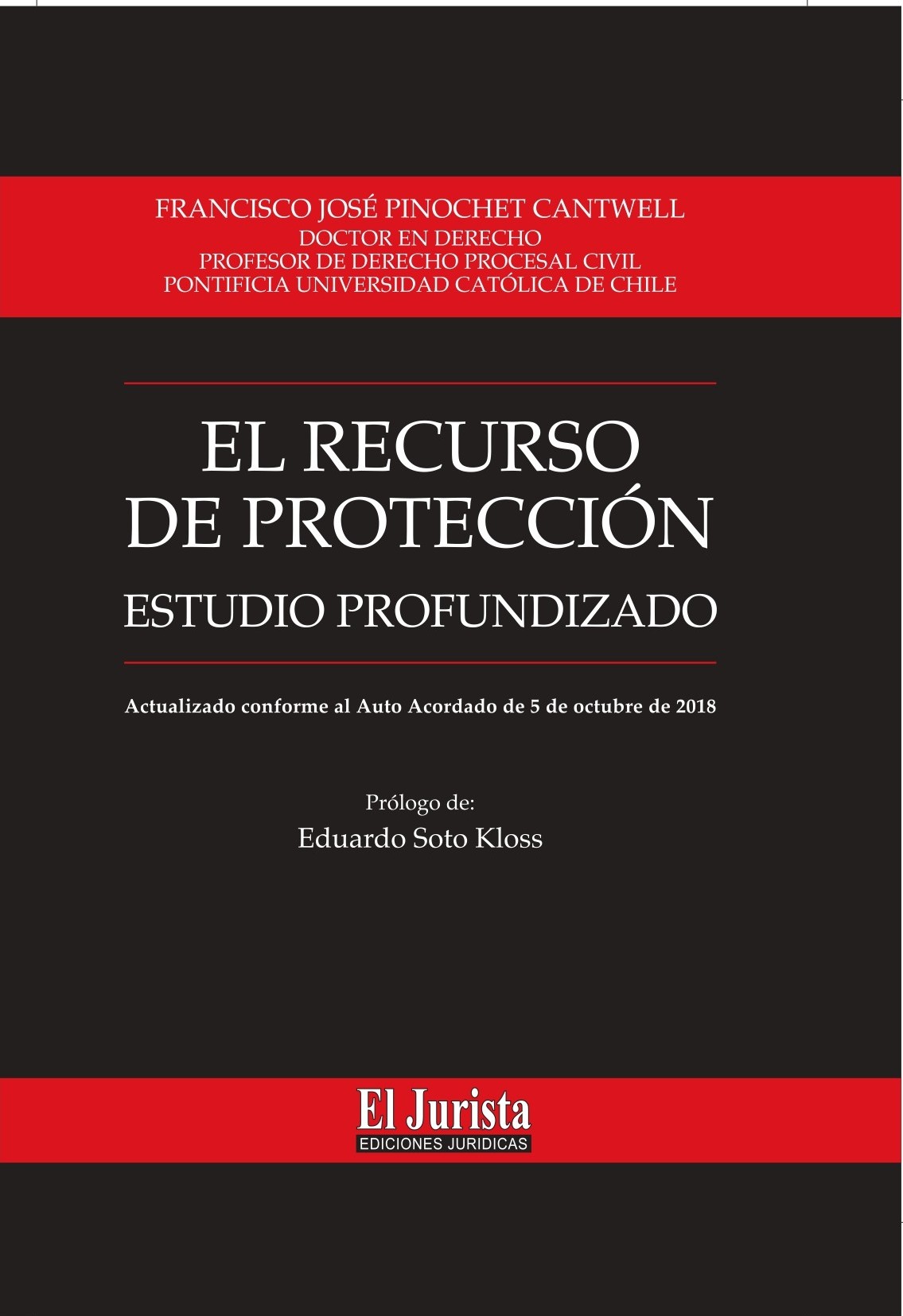 EL RECURSO DE PROTECCIÓN ESTUDIO PROFUNDIZADO