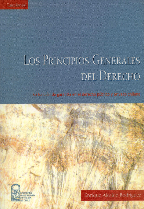 Los Principios Generales del Derecho