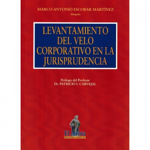 El levantamiento del Velo Corporativo Jurisprudencia