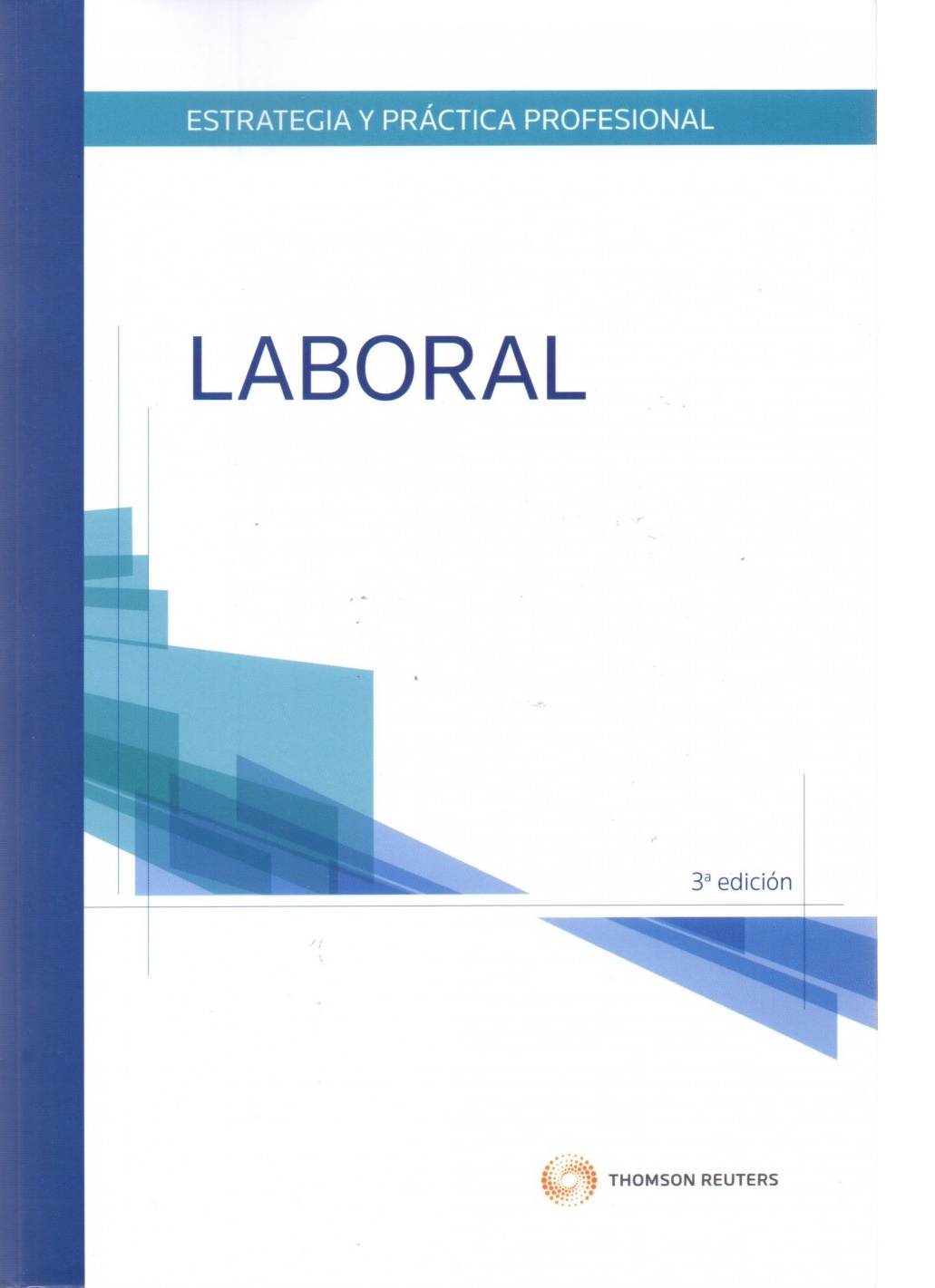 ESTRATEGIA Y PRACTICA PROFESIONAL LABORAL
