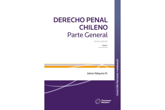 DERECHO PENAL CHILENO - PARTE GENERAL - Tomo I