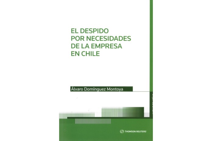 EL DESPIDO POR NECESIDADES DE LA EMPRESA EN CHILE
