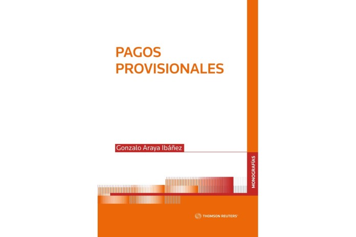 PAGOS PROVISIONALES