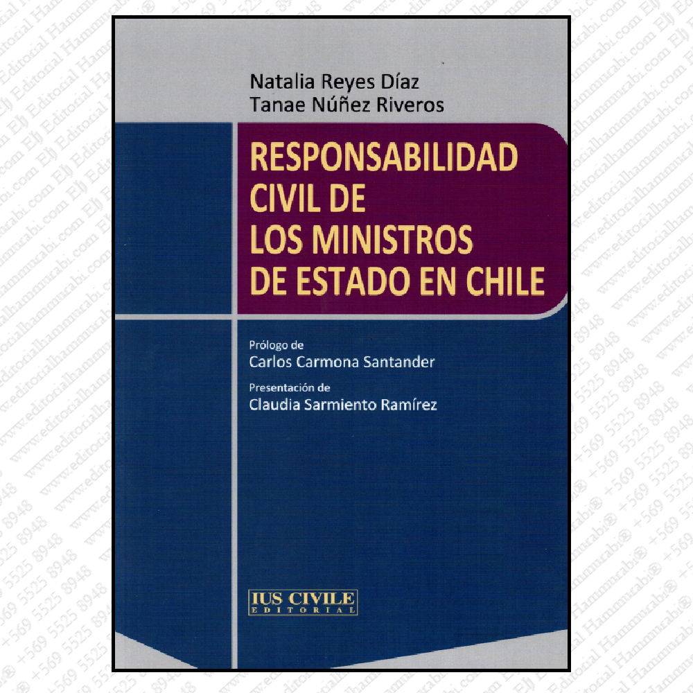 RESPONSABILIDAD CIVIL DE LOS MINISTROS DE ESTADO EN CHILE